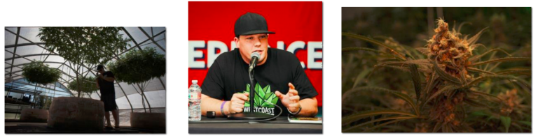 Dru West High TImes Hawaii Cannabis Awareness Conference